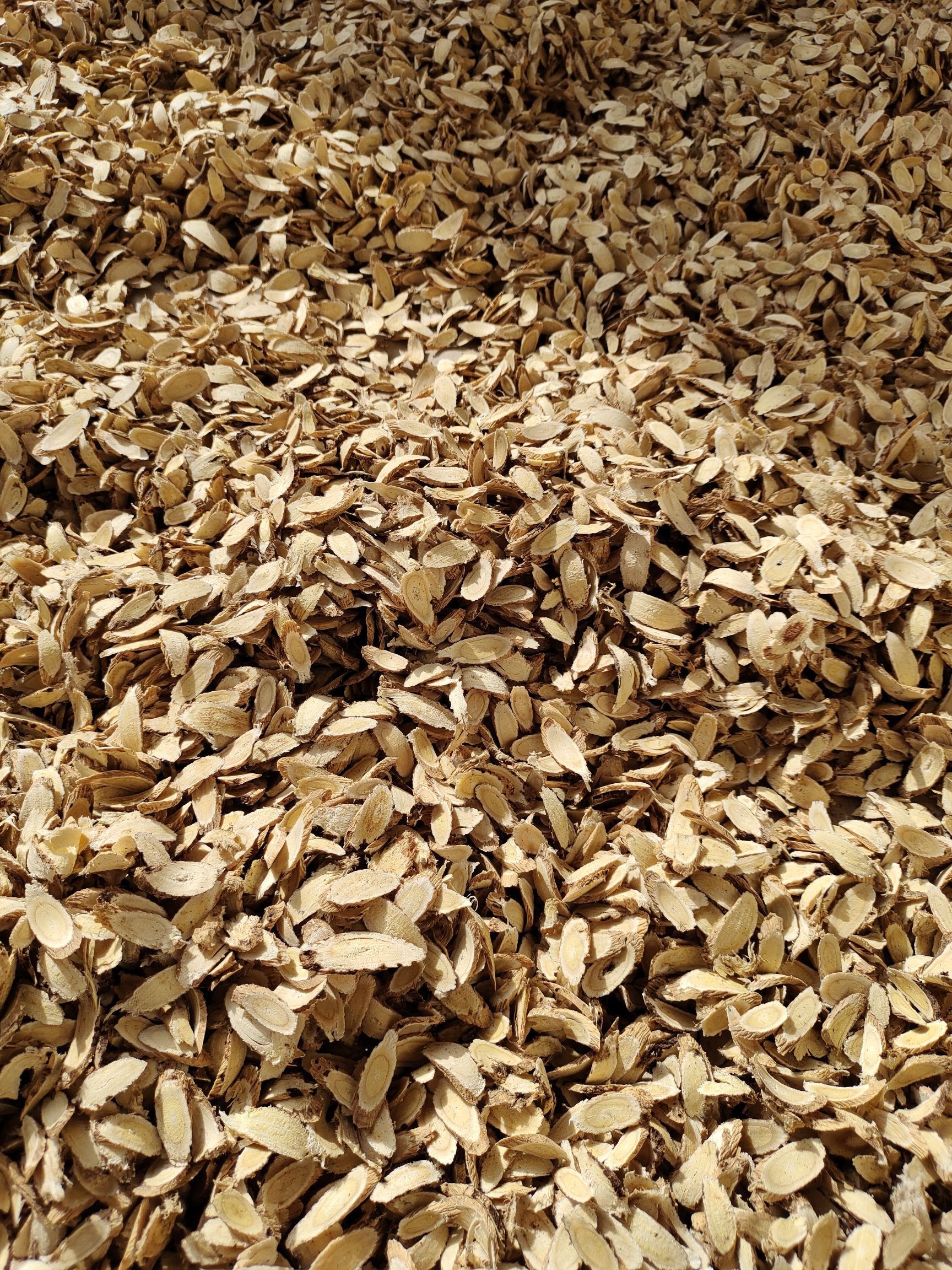 特大黄芪瓜子片货真价实