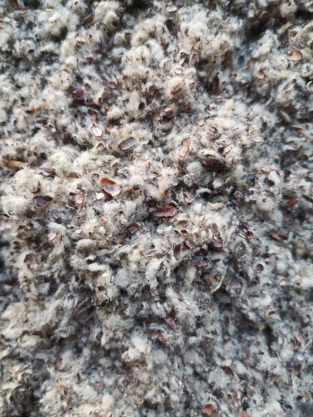 直销新疆库尔勒阿克苏棉籽壳棉渣棉粕棉仁棉籽棉饼