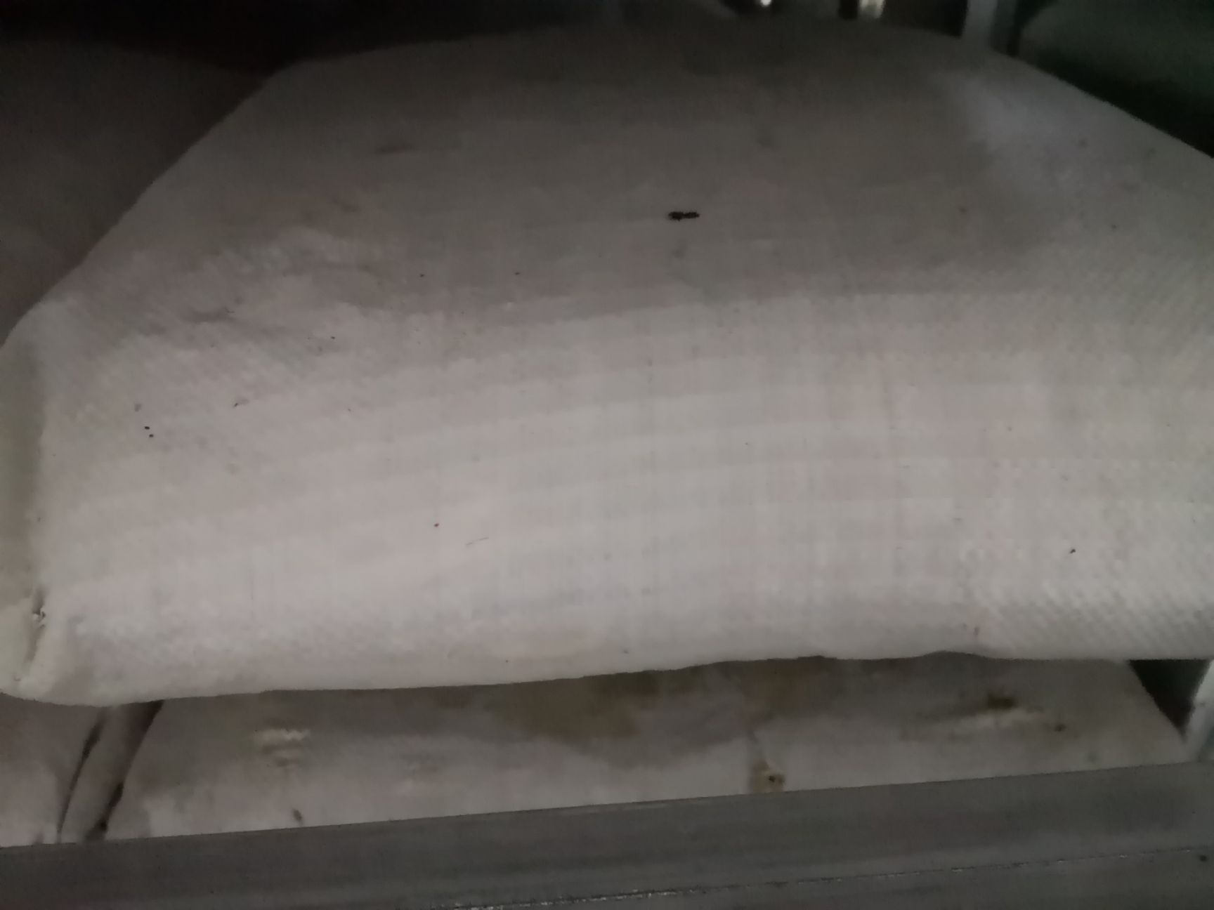 威廉环毛蚓  干冻蚯蚓，鲜活蚯蚓，蚯蚓粉干。