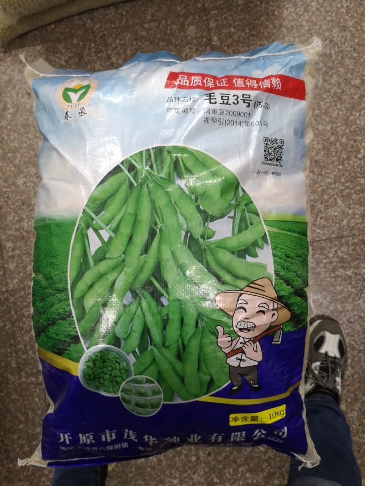 山毛豆种子  铁豆77毛豆种子，蔬菜基地专用品种，采食鲜荚77天左右。