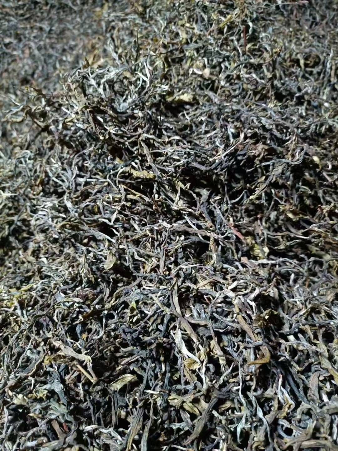 古树茶 云南高原土司贡茶