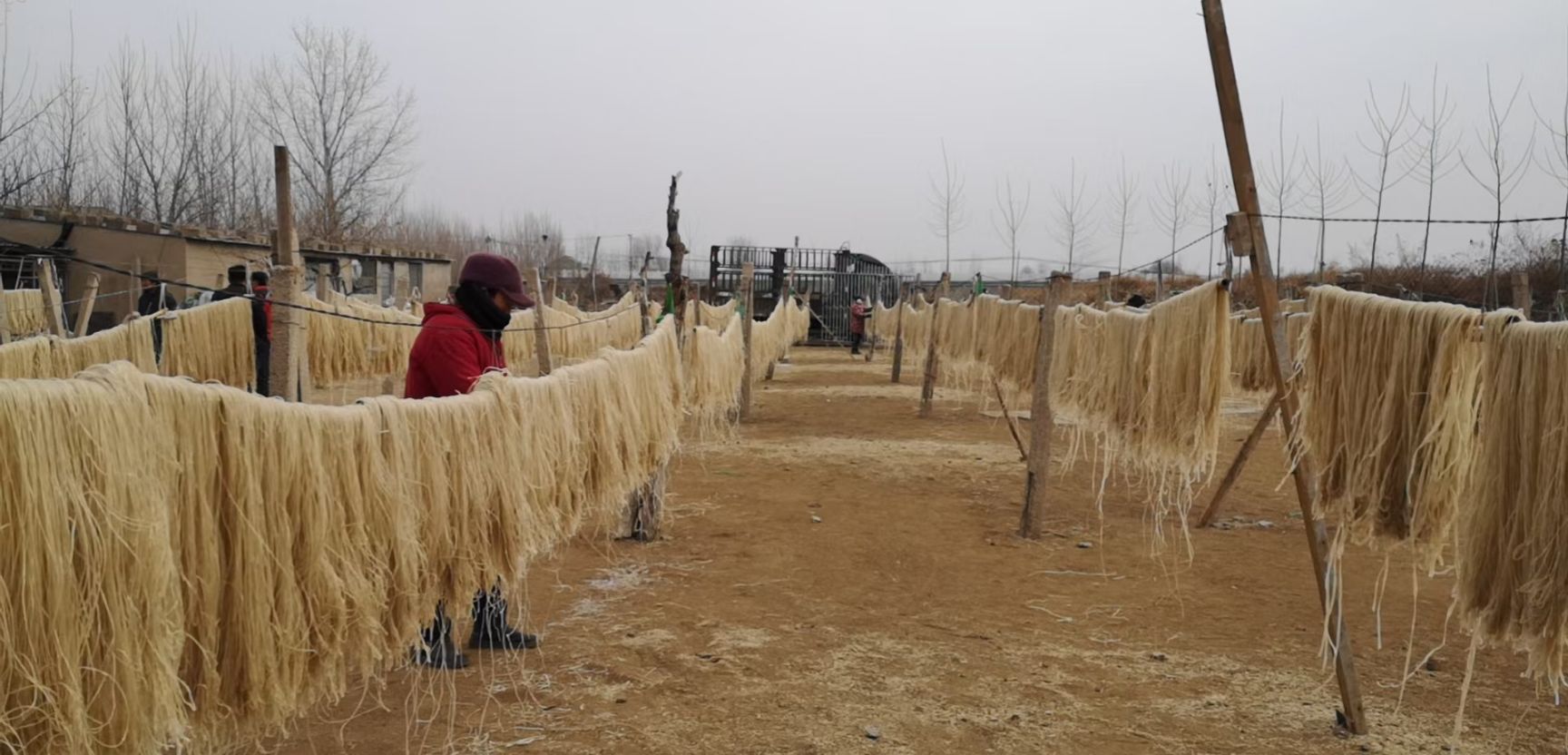 红薯粉条  山东红薯粉条农家纯手工地瓜粉条红薯粉丝正宗红