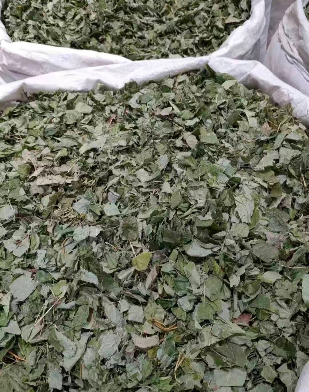 巫山淫羊藿  泡酒炖汤可搭配枸杞锁阳无需运费包邮