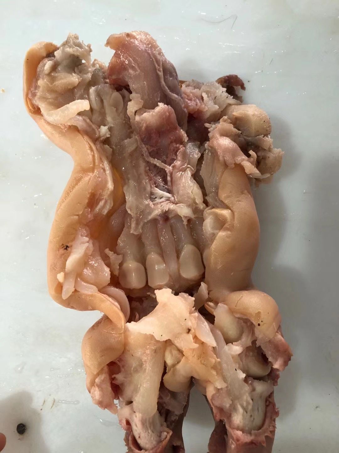 清真精品火烧去骨牛蹄筋牛脚筋