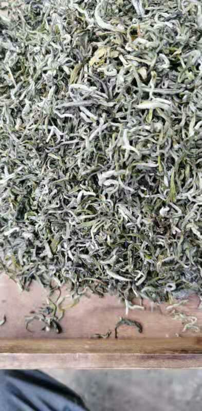 毛峰茶 头春绿茶，云抗十号