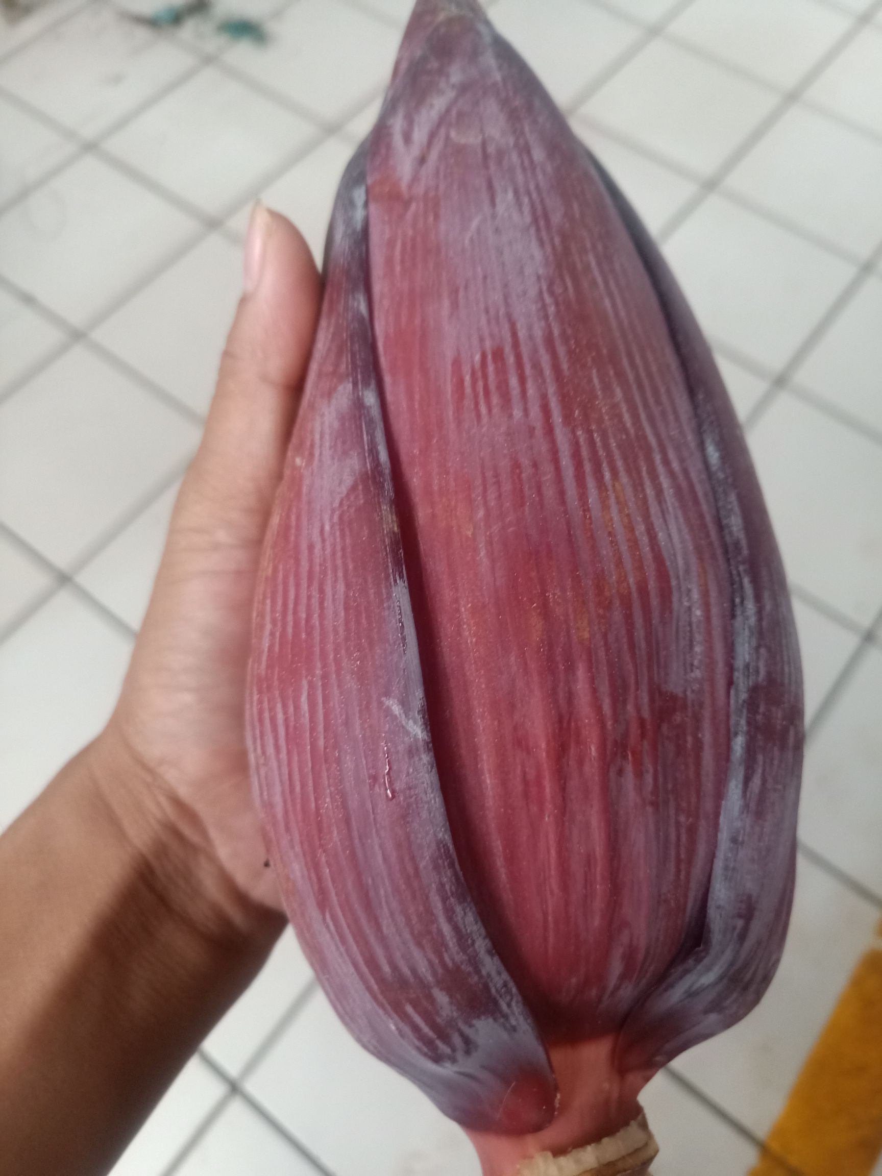 山野菜  云南普洱芭蕉花_新鲜芭蕉花