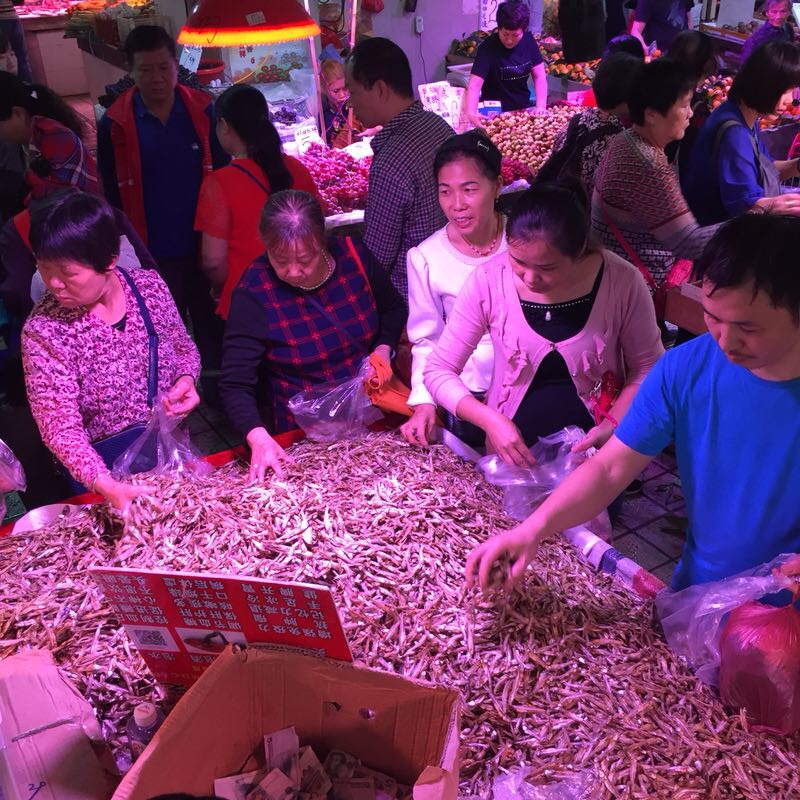 公鱼干  深海小鱼干 淡干小鱼干 纯干货 市场跑量王