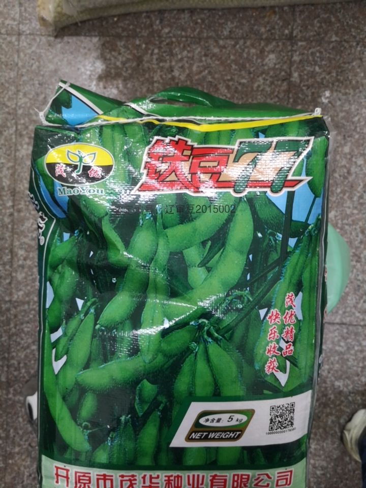 山毛豆种子  铁豆77毛豆种子，蔬菜基地专用品种，采食鲜荚77天左右。