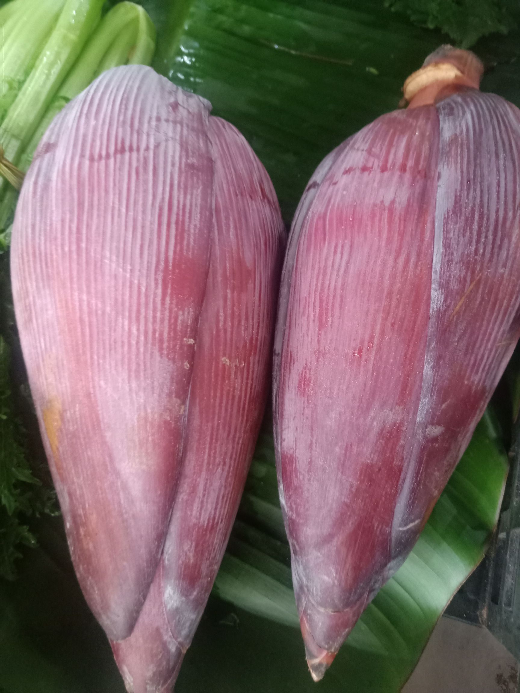 山野菜  云南普洱芭蕉花_新鲜芭蕉花