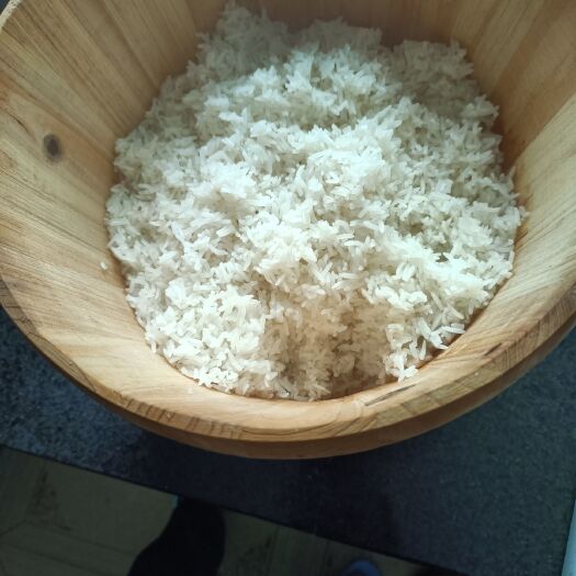 古田县杂交稻  出售乡下自种稻谷与大米，数量有2万斤左右