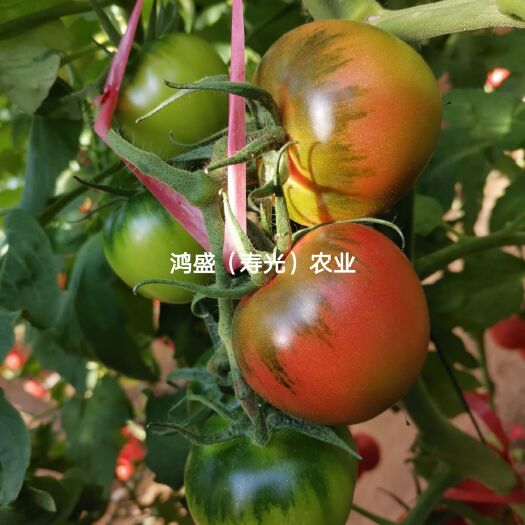 寿光市【盛美】草莓番茄种子  中果口感草莓番茄