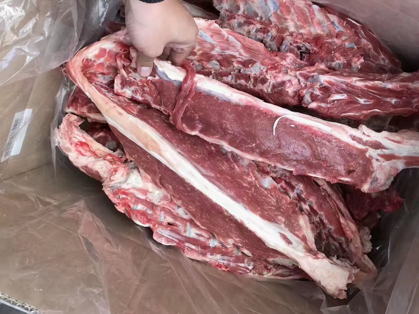 羊副产品 加肥羊脊骨加肉羊脊骨