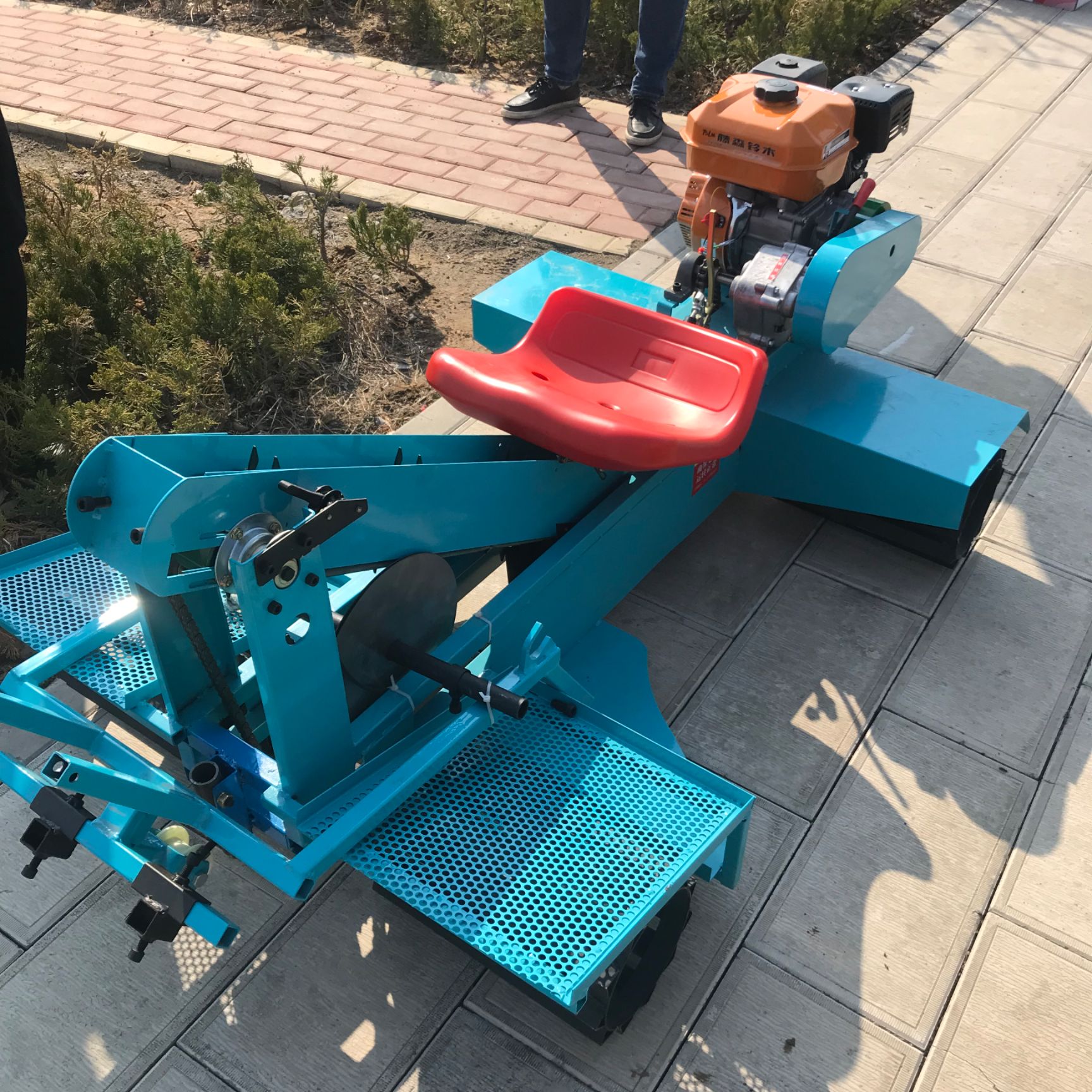 大姜播种机土豆芋头播种机乘坐自由式种距25播种均匀