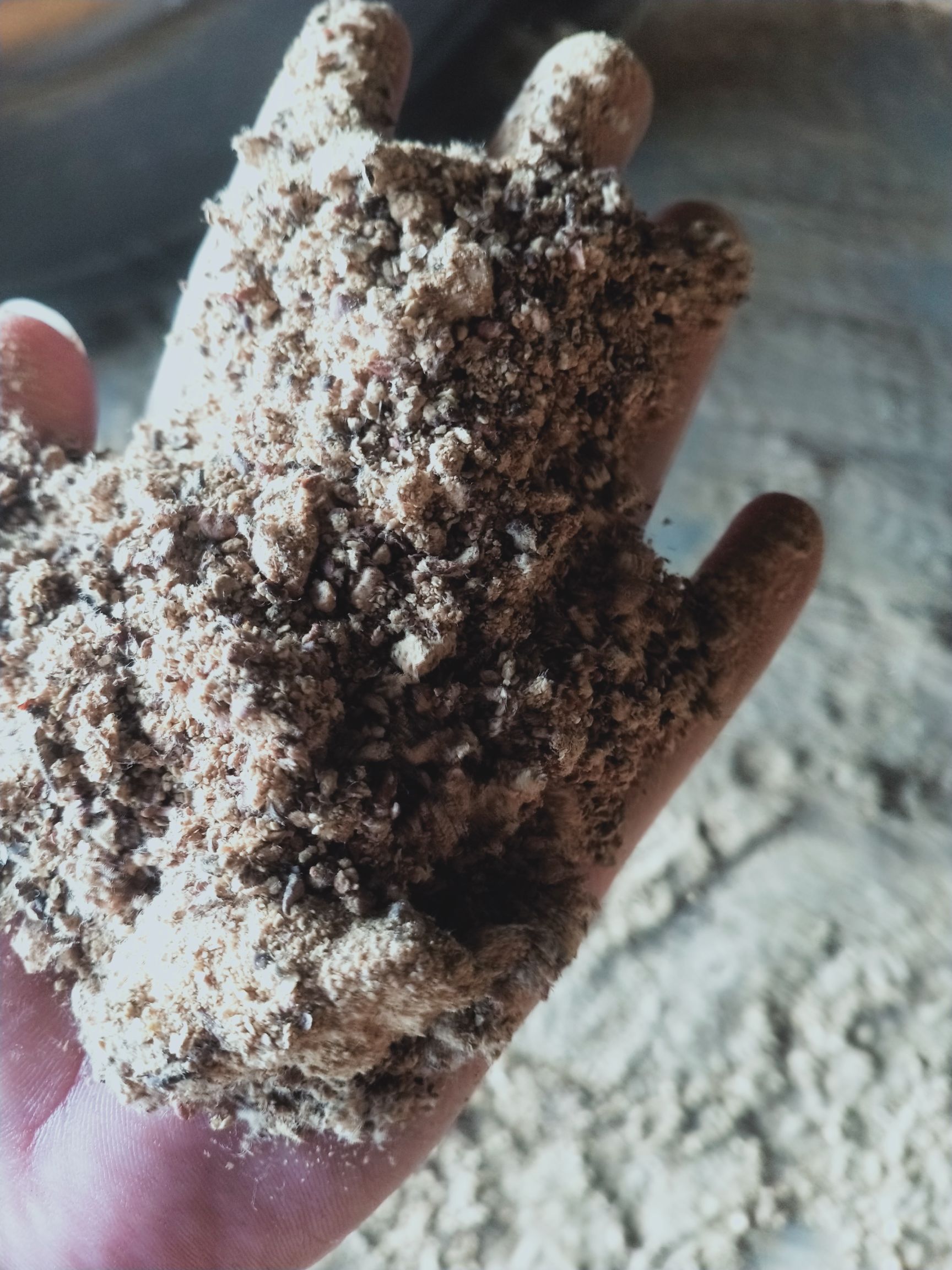 直销新疆库尔勒阿克苏棉籽壳棉渣棉粕棉仁棉籽棉饼