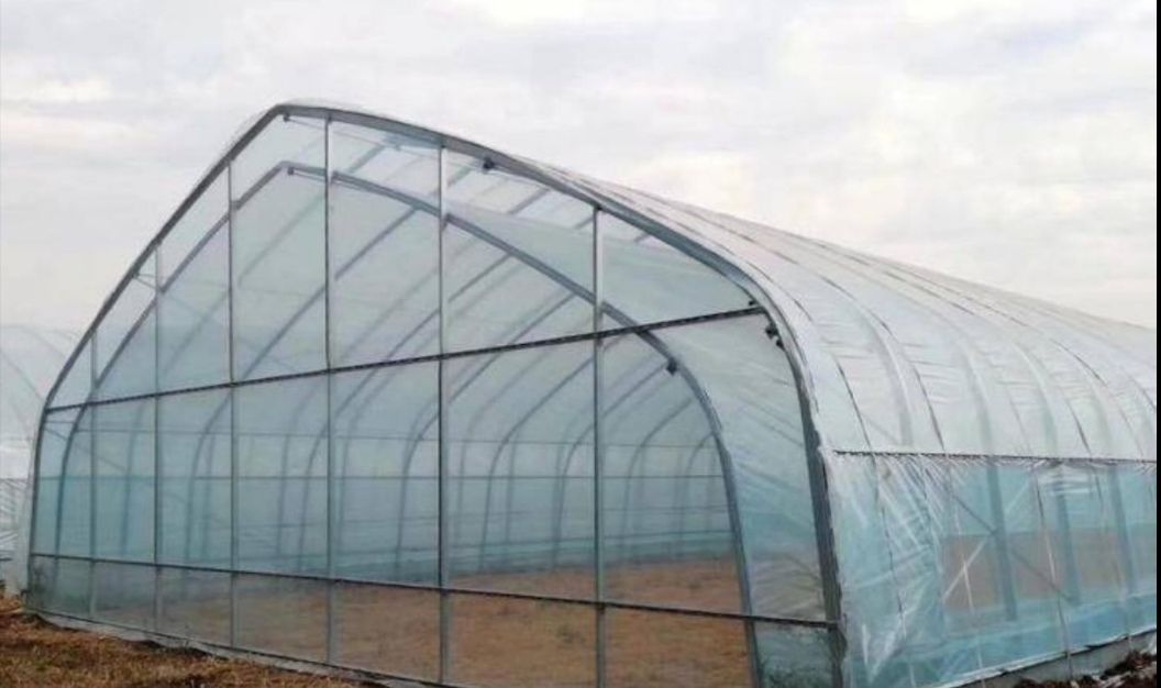 大棚钢管 大棚骨架 大棚管 钢管
钢管通过国家质量体系认证！