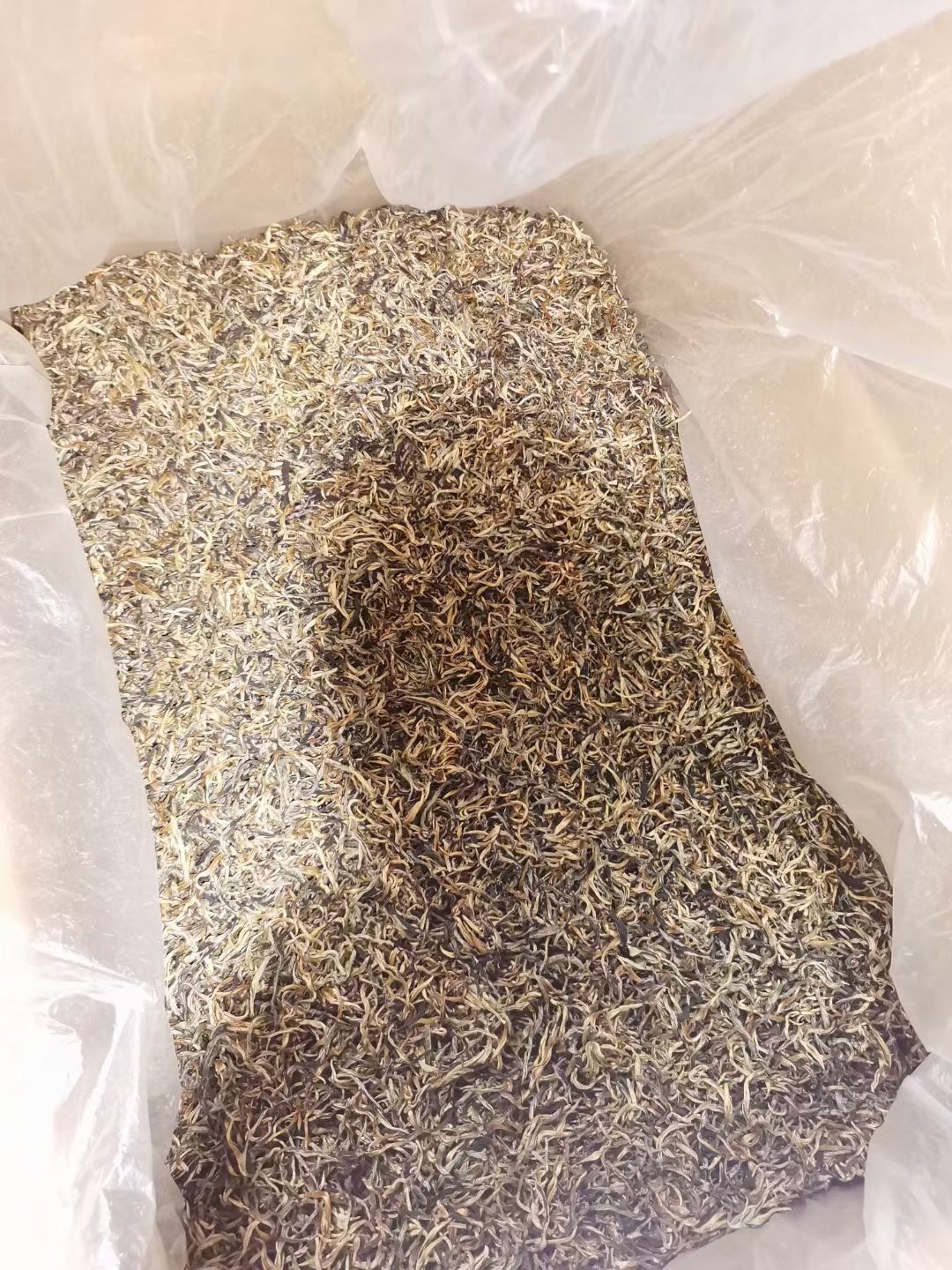 滇红金芽 滇南红茶