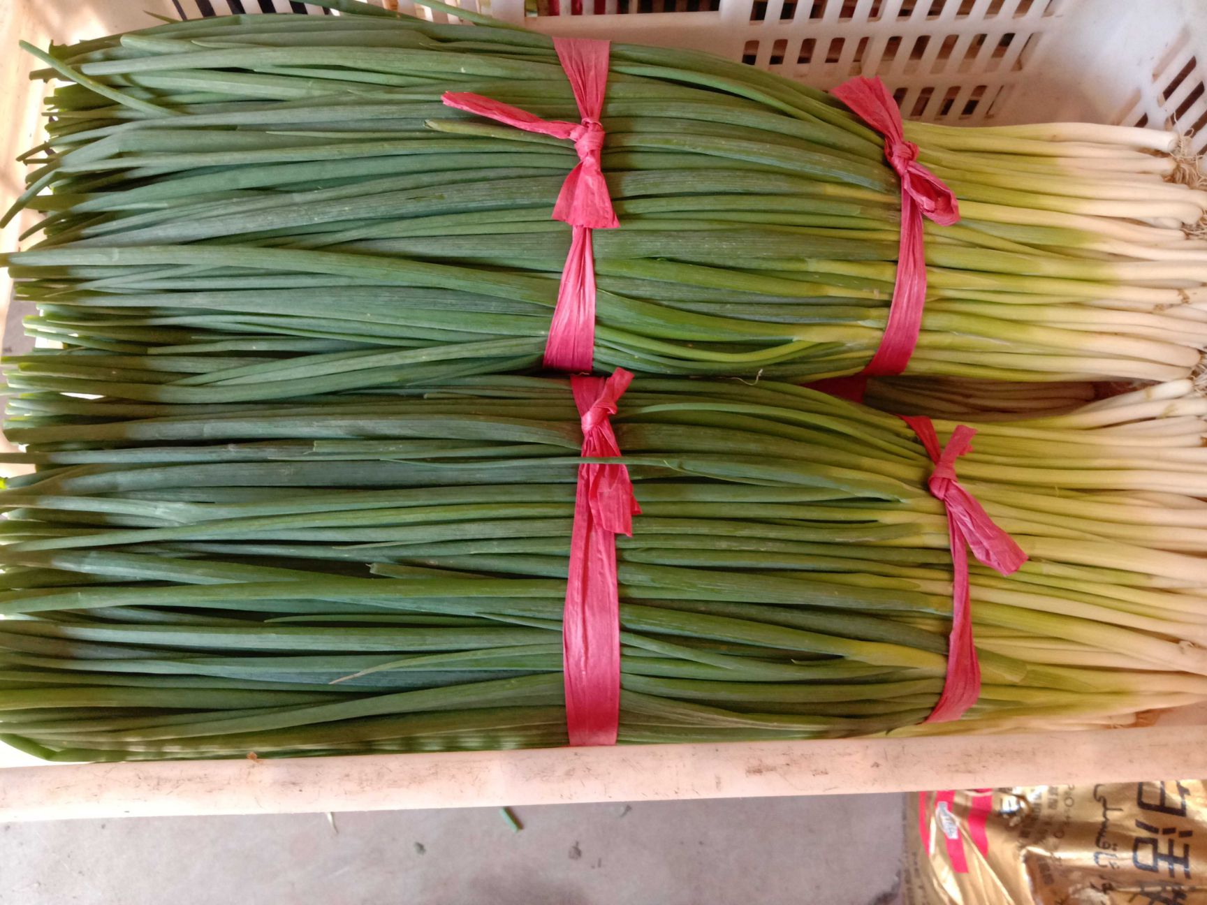  营健精品上海小香葱大量上市，质量好欢迎电商，大型超市来订单，