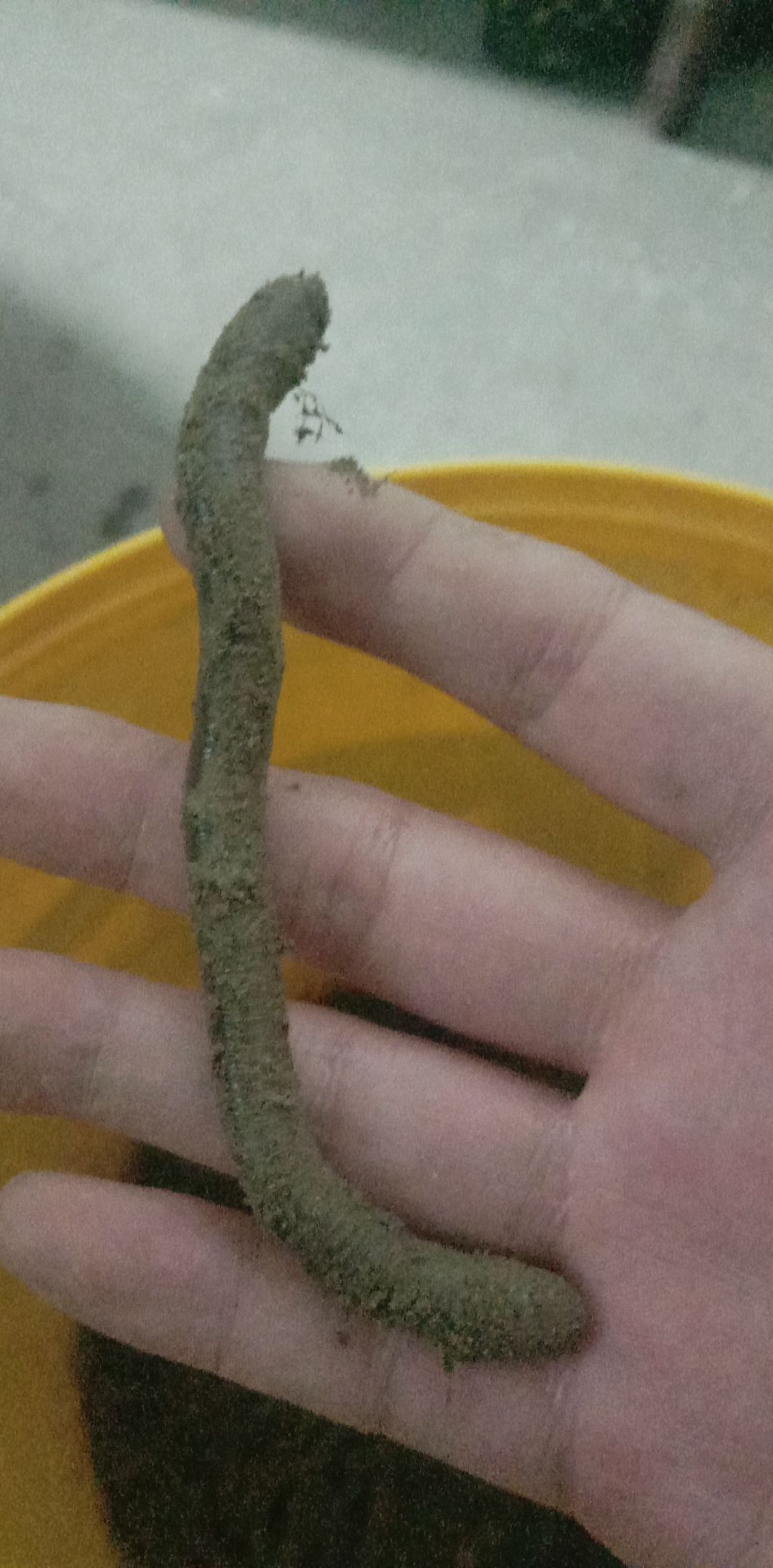 土地龙 地龙干全开货