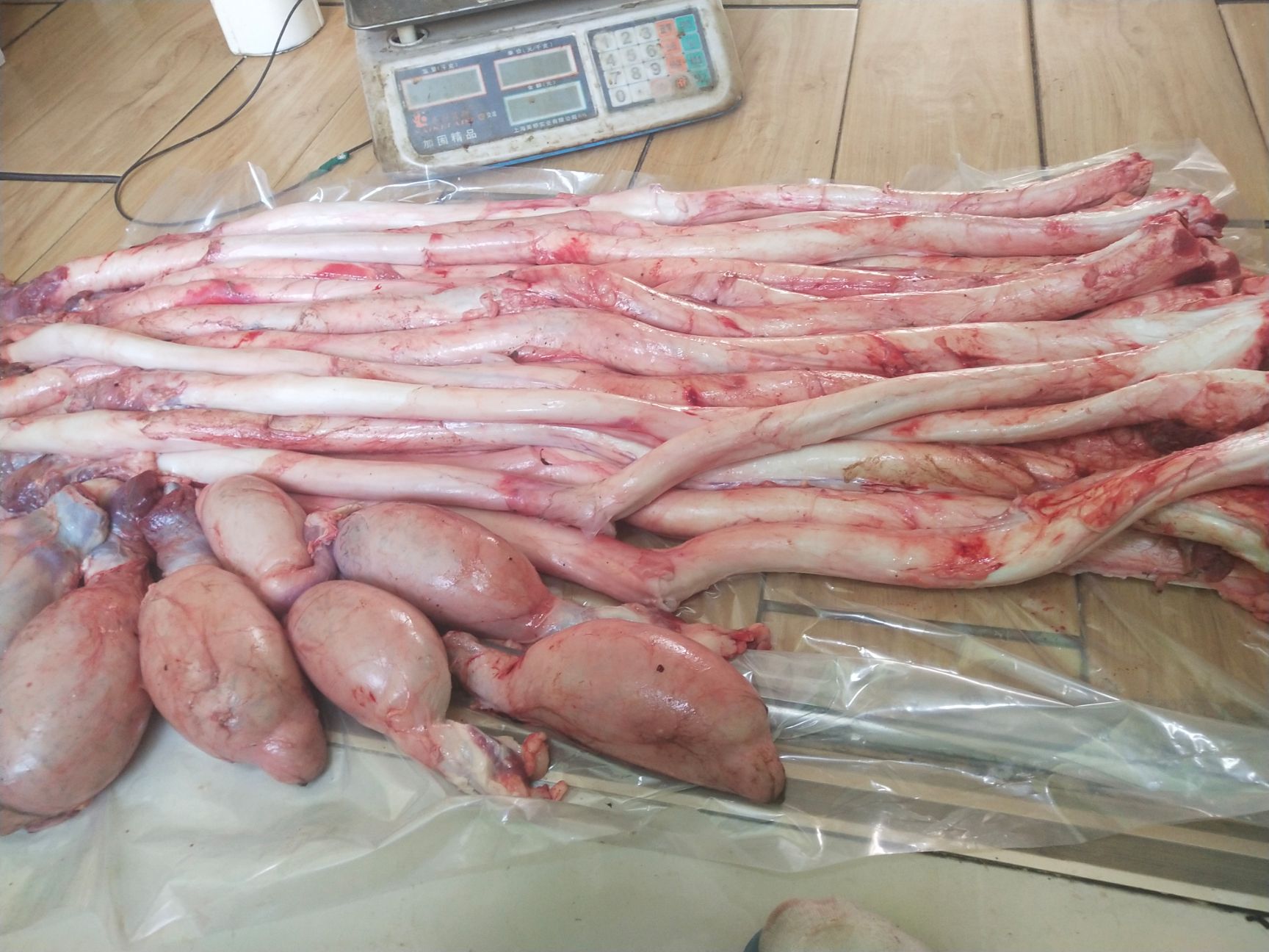 新鲜精修牛鞭宝