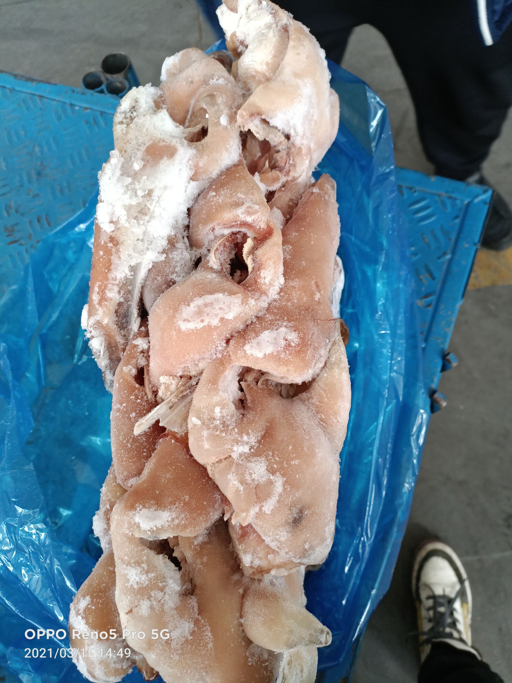 羊头肉 黑红花白头 可定制