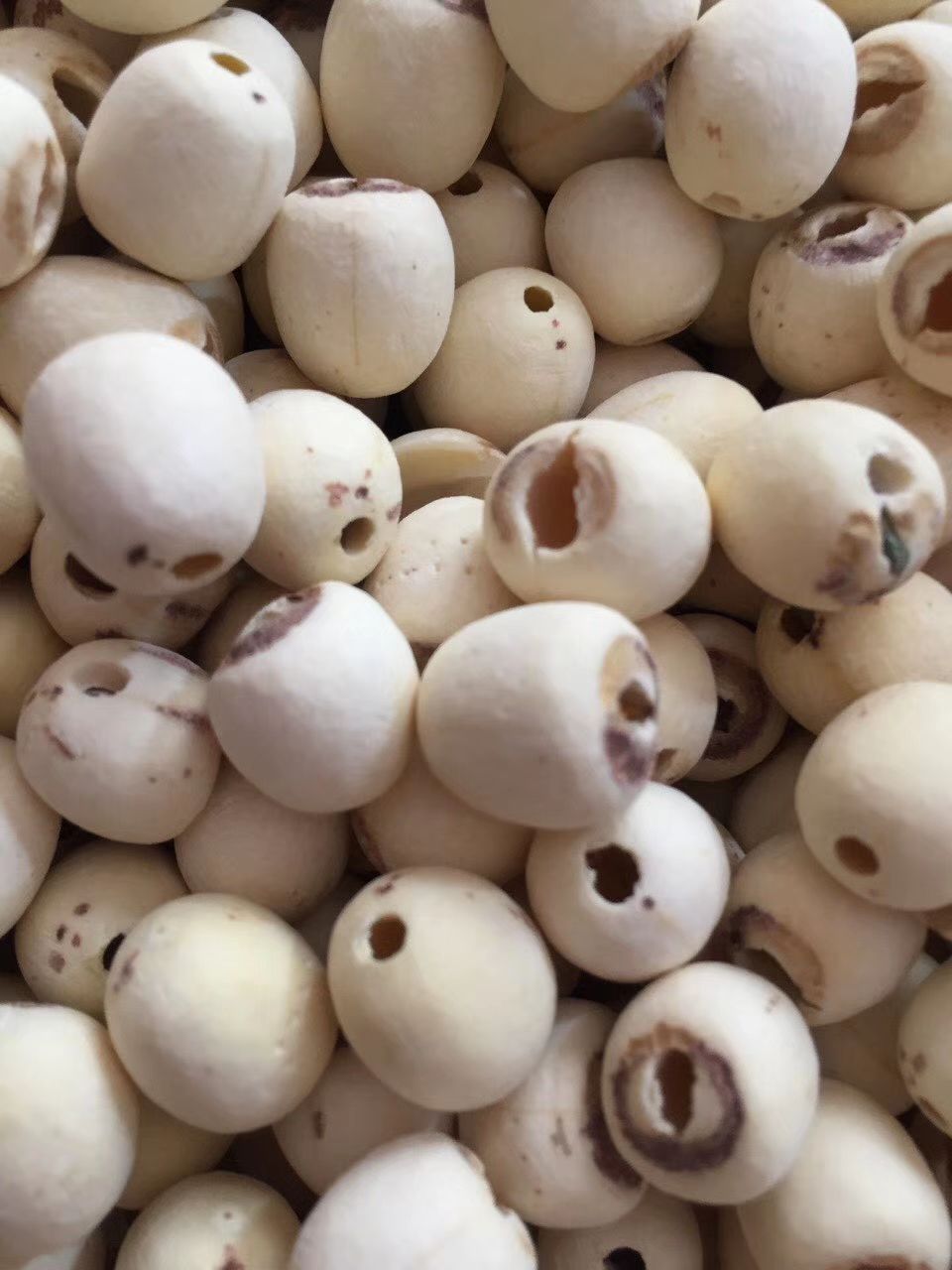  正宗湘莲寸三莲