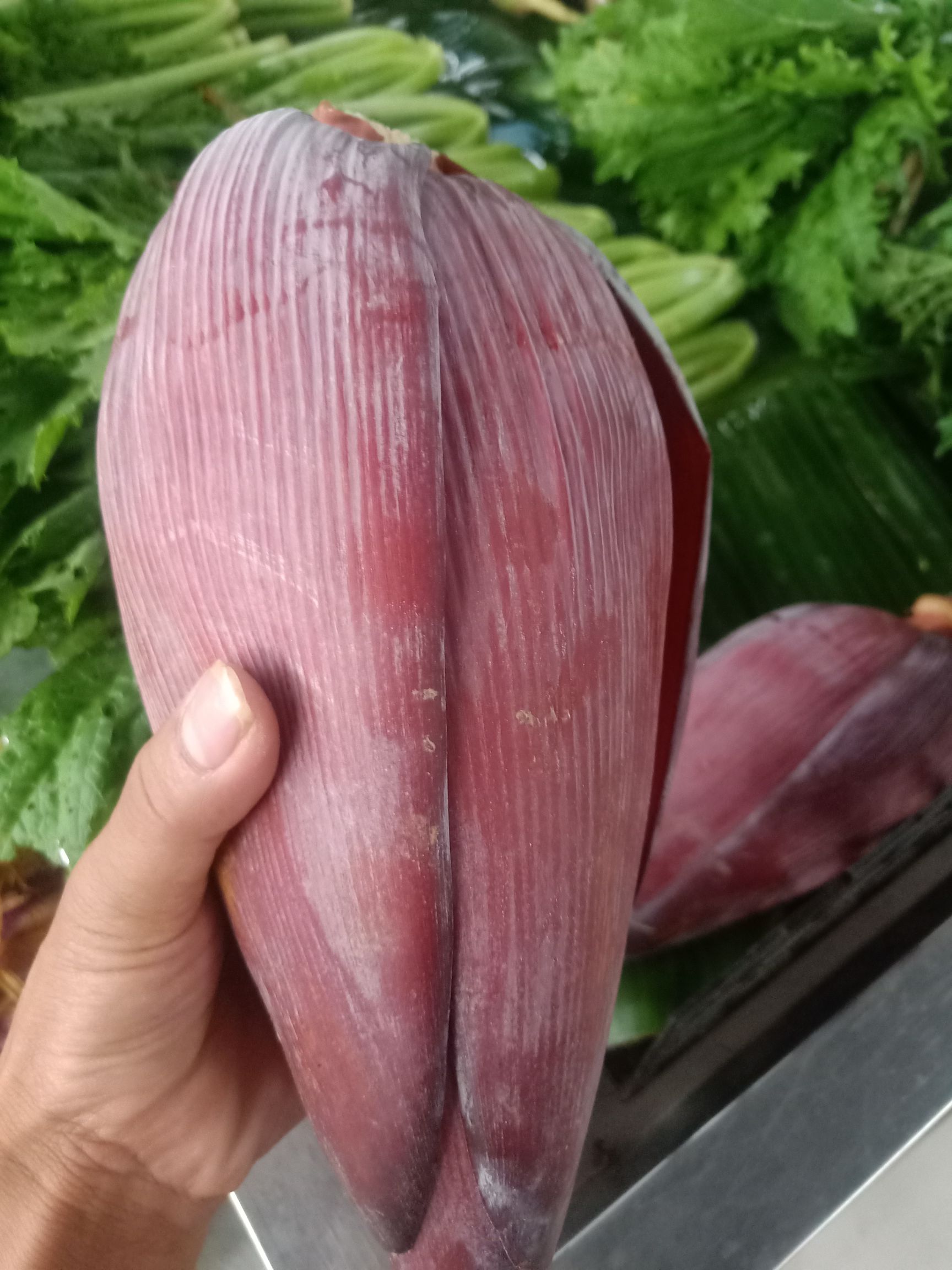 山野菜  云南普洱芭蕉花_新鲜芭蕉花