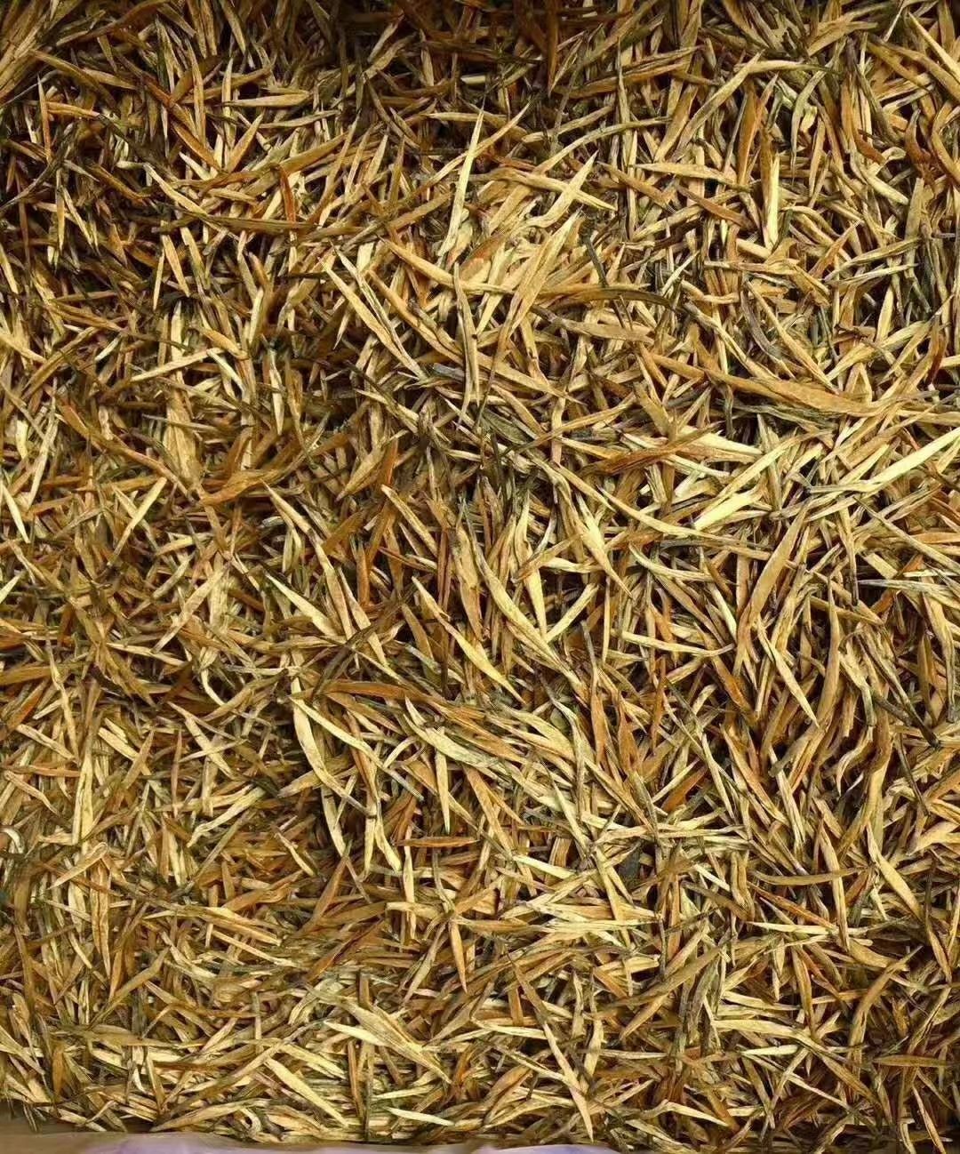 滇红金芽 滇南红茶