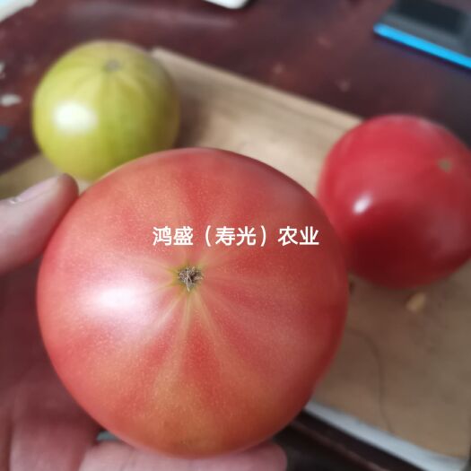 【安吉拉】粉果番茄种子  抗病毒大果口感番茄
