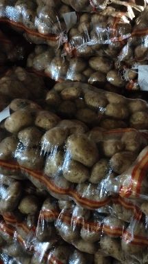  牡丹江尤金885土豆，是市场上非常认可的品种，黄皮黄心薯型好