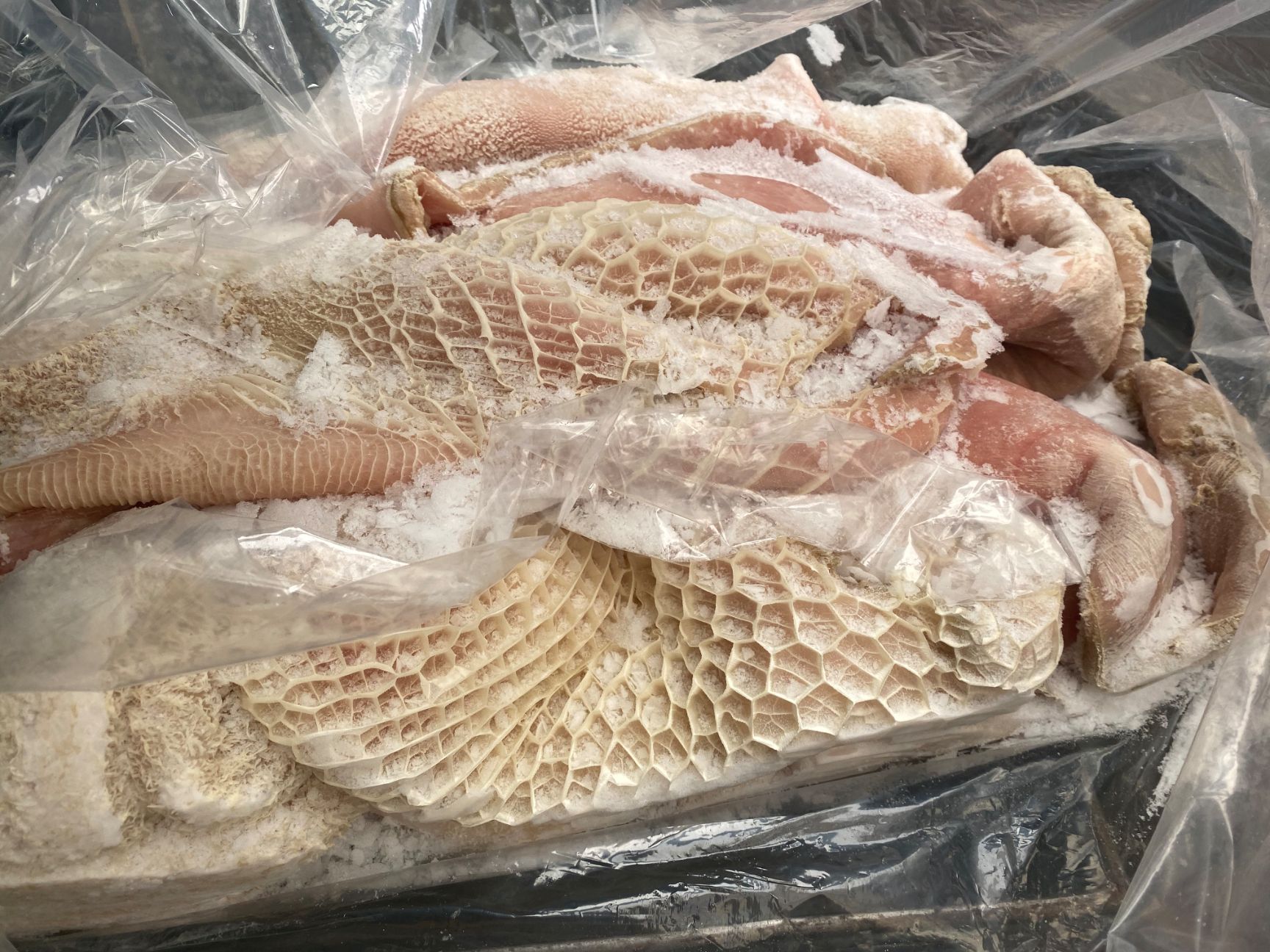 清真高质量半成品牛肚
质量保证信誉至上