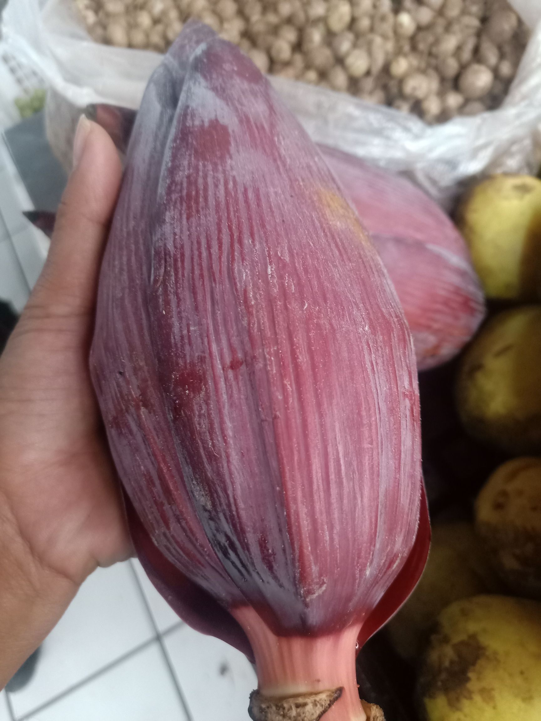 山野菜  云南普洱芭蕉花_新鲜芭蕉花