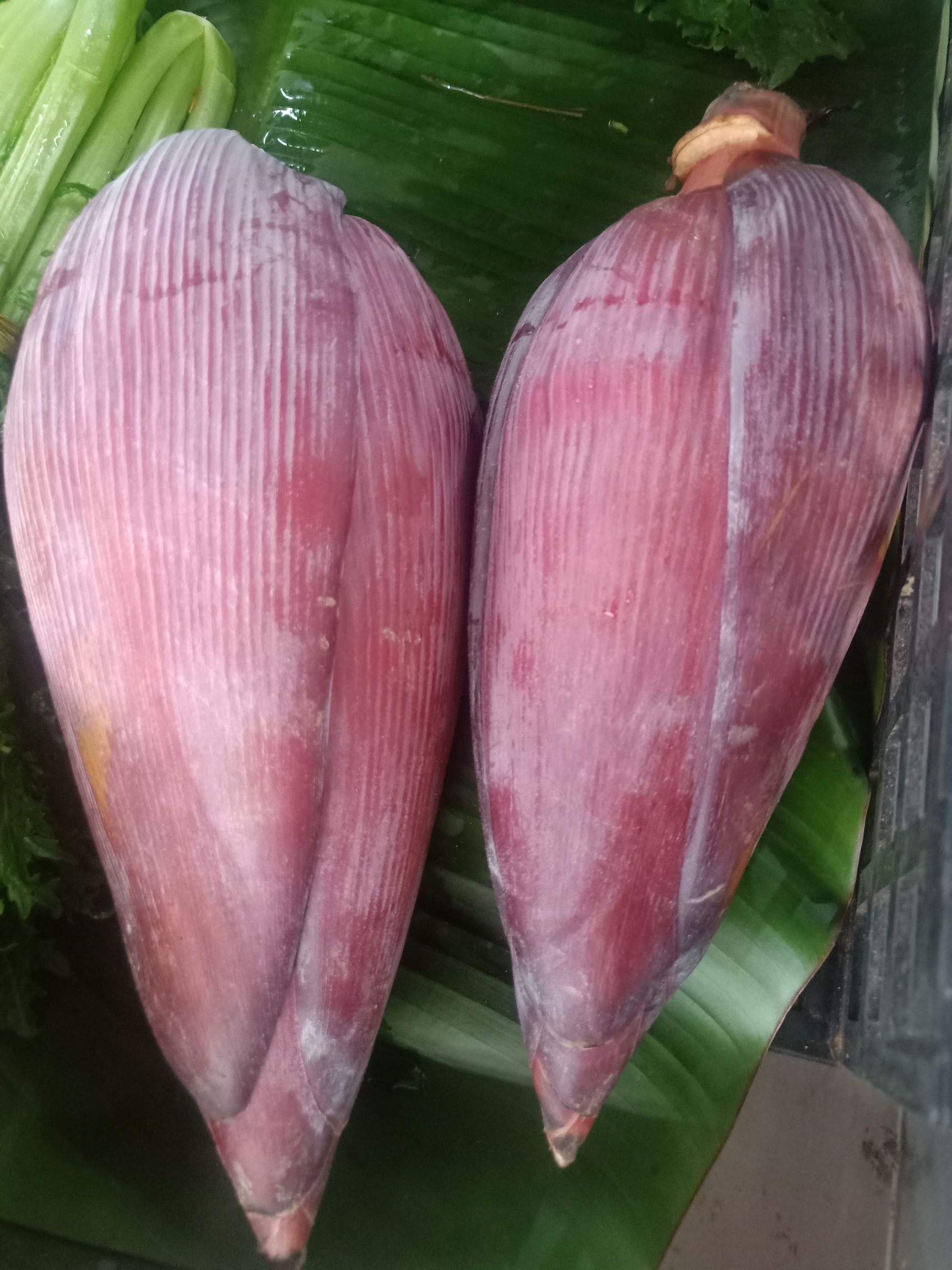 山野菜  云南普洱芭蕉花_新鲜芭蕉花