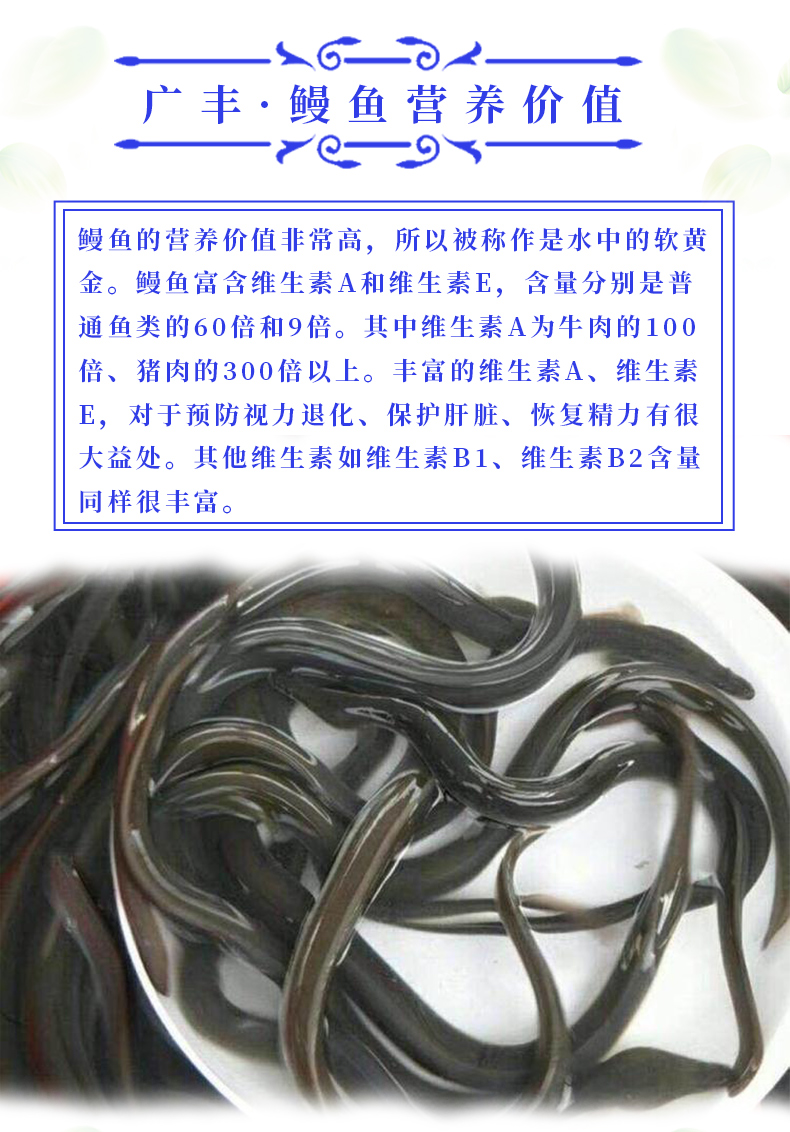 石斑鱼苗 淡水石斑鱼苗