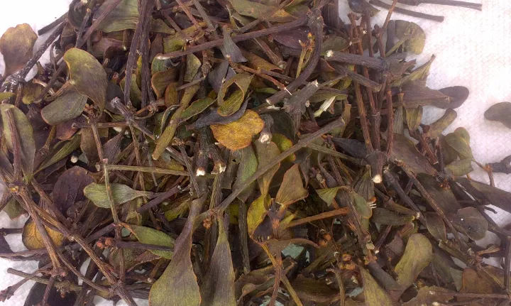  核寄生品质好干度到均片