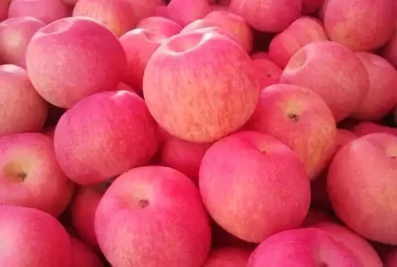 冷库红富士苹果大降价 清货价格便宜