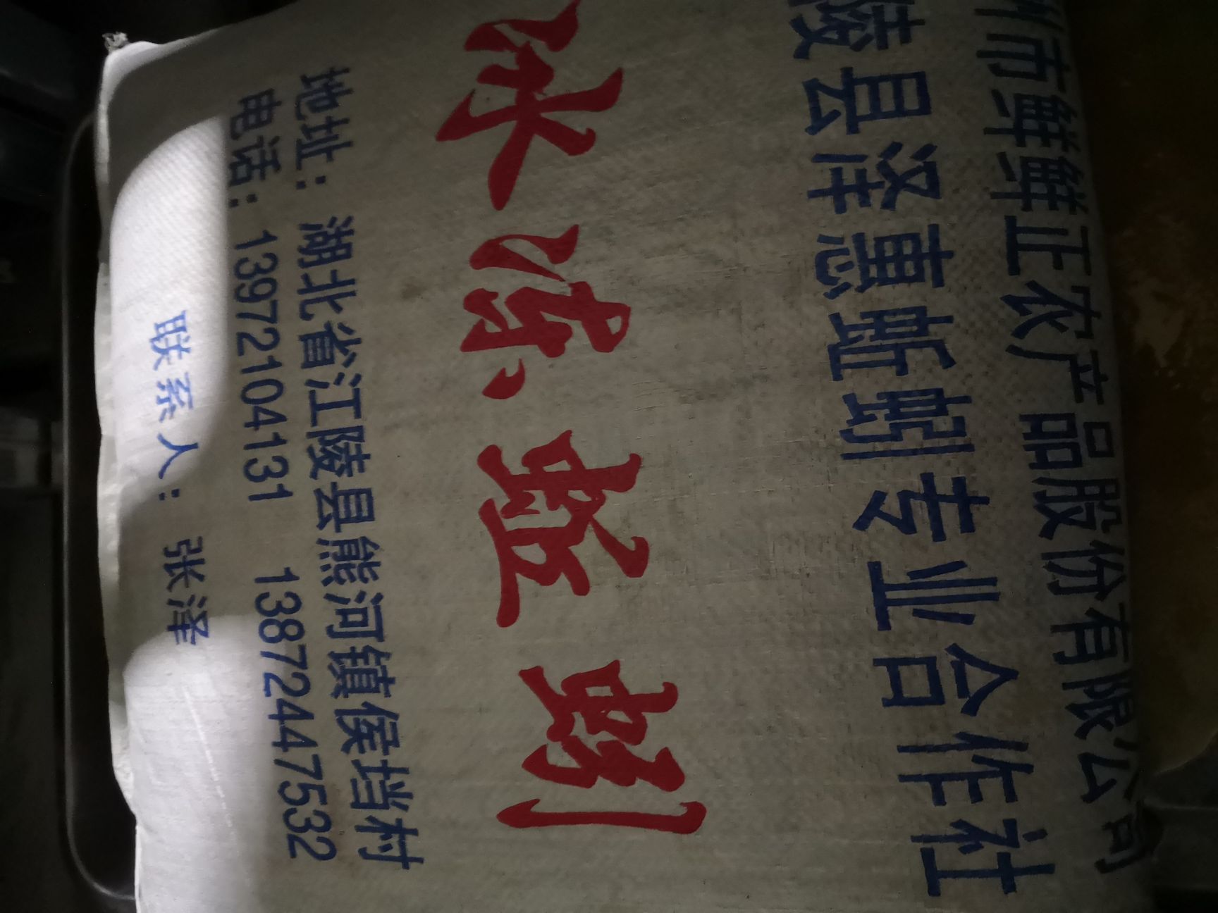 威廉环毛蚓  干冻蚯蚓，鲜活蚯蚓，蚯蚓粉干。