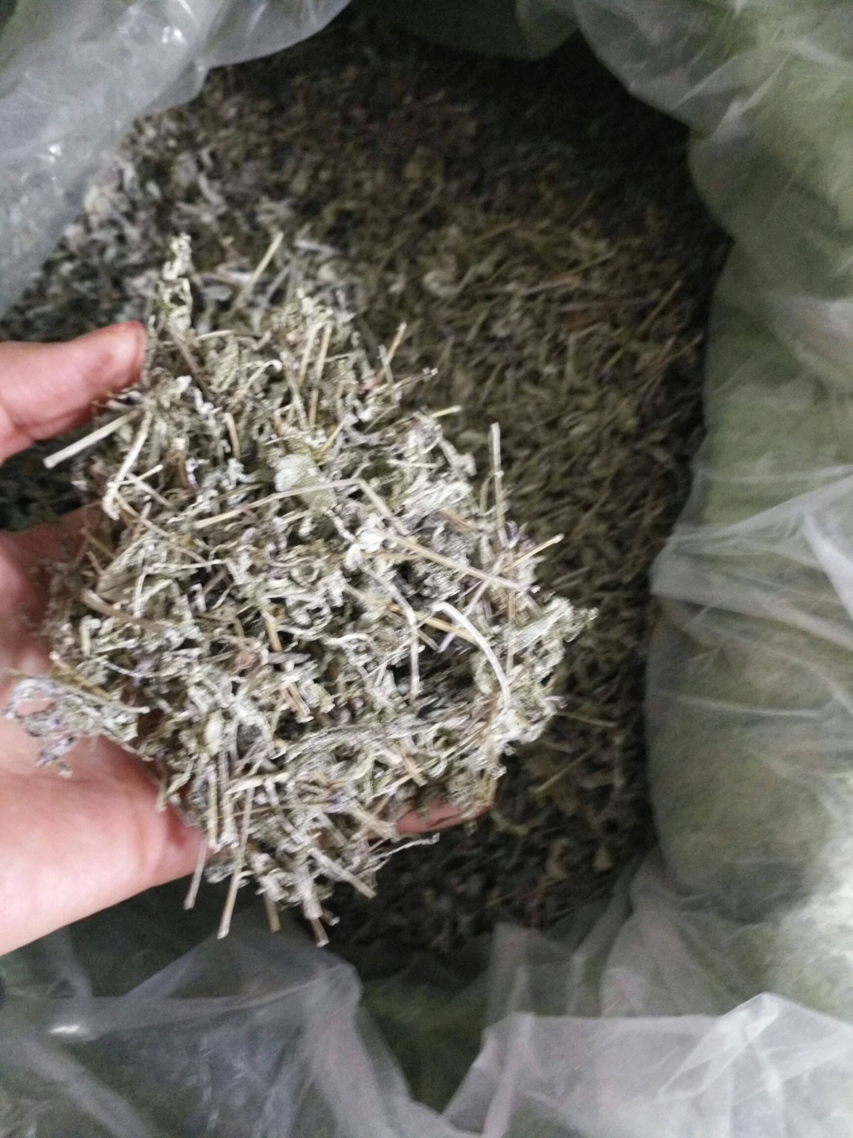 九龙山藤茶莓茶