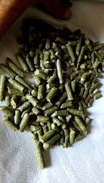 凤阳县豆渣 苜蓿草颗粒图一，绿色占50%左右，蛋白13-14，灰分水分