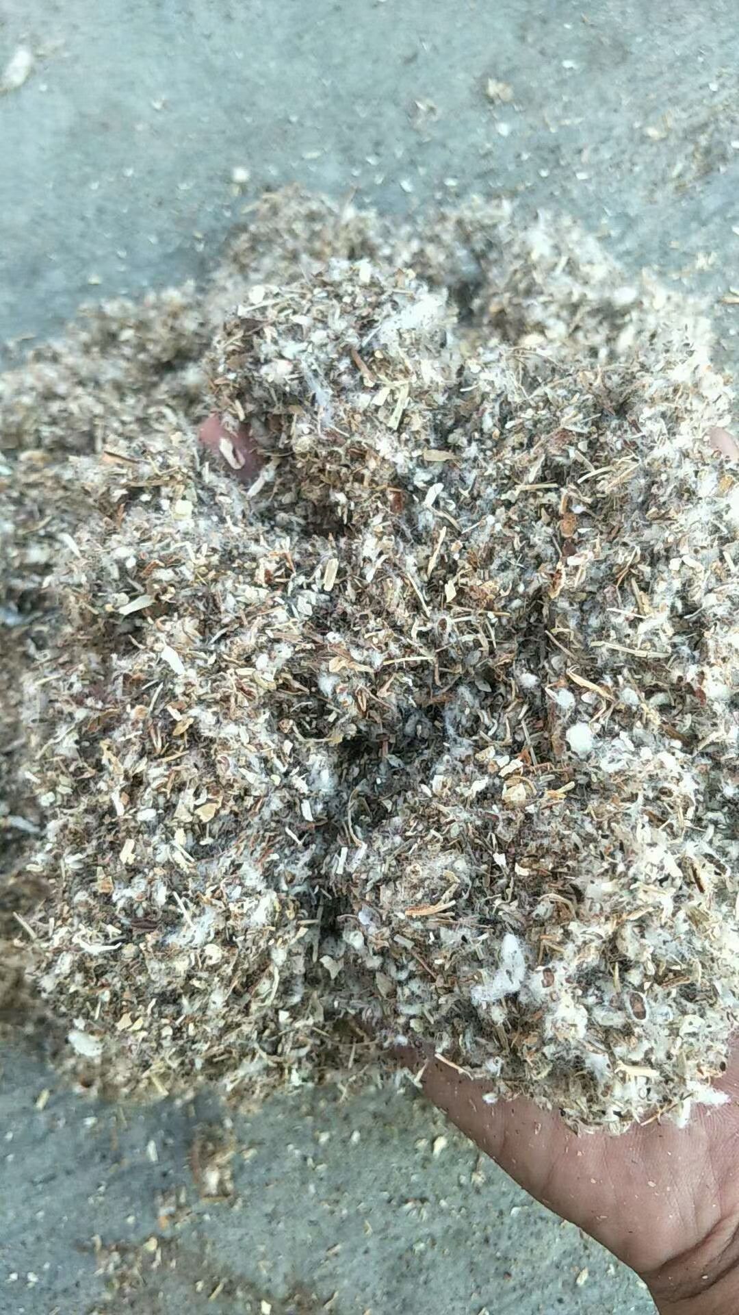 直销新疆库尔勒阿克苏棉籽壳棉渣棉粕棉仁棉籽棉饼