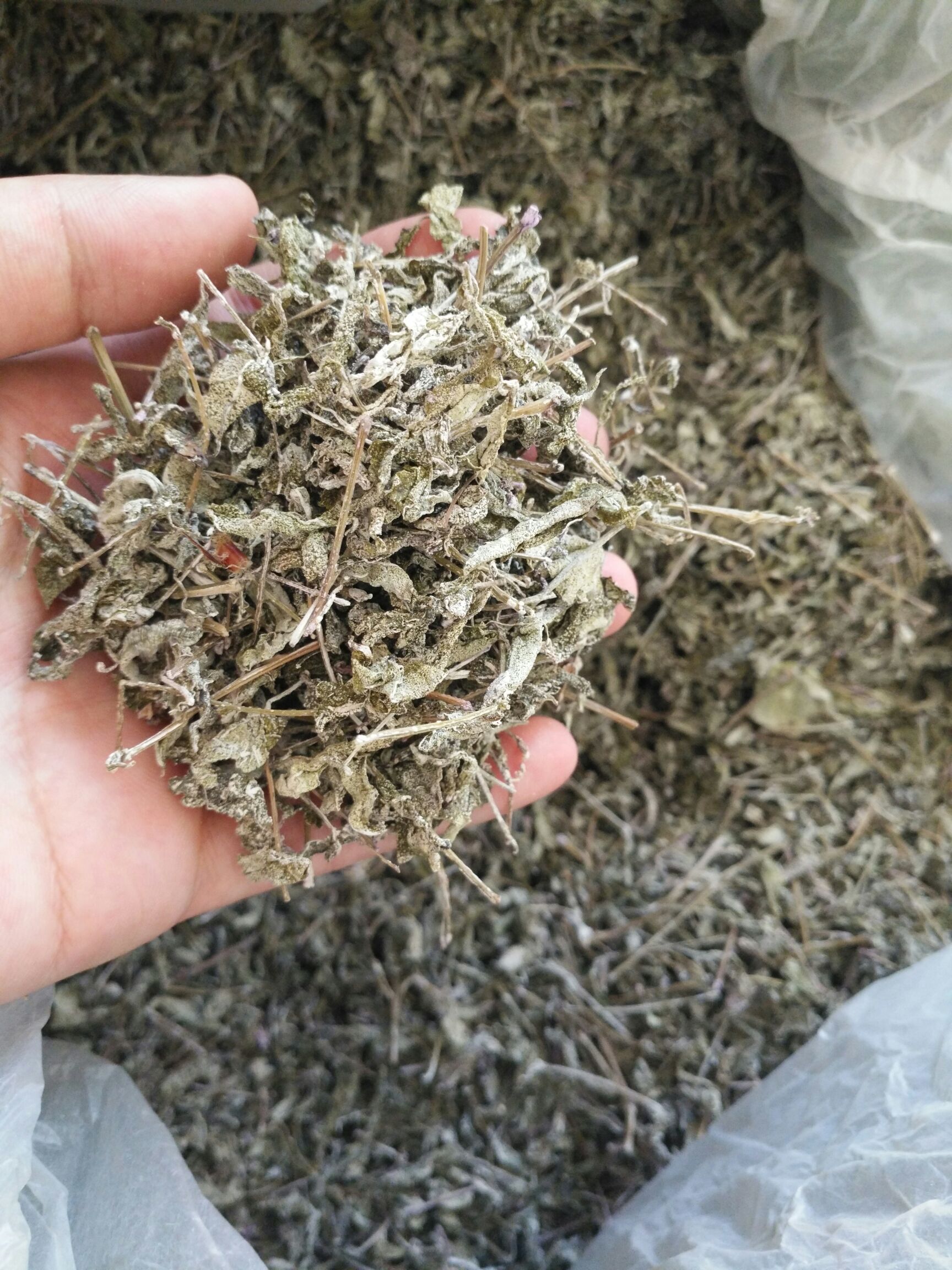 九龙山藤茶莓茶