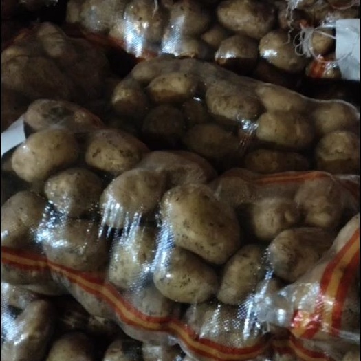 宁安市 牡丹江尤金885土豆，是市场上非常认可的品种，黄皮黄心薯型好