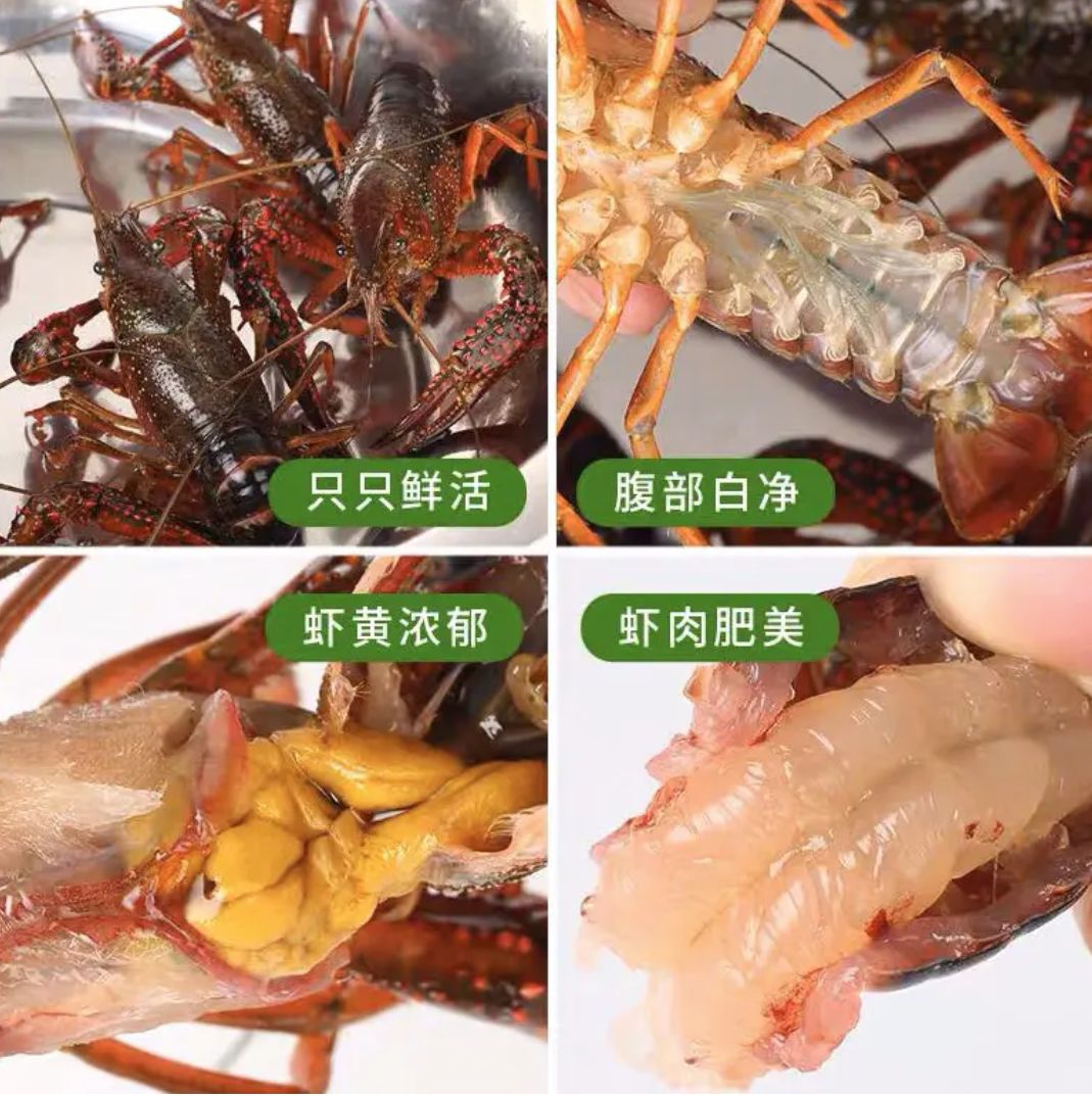 洪湖小龙虾大红