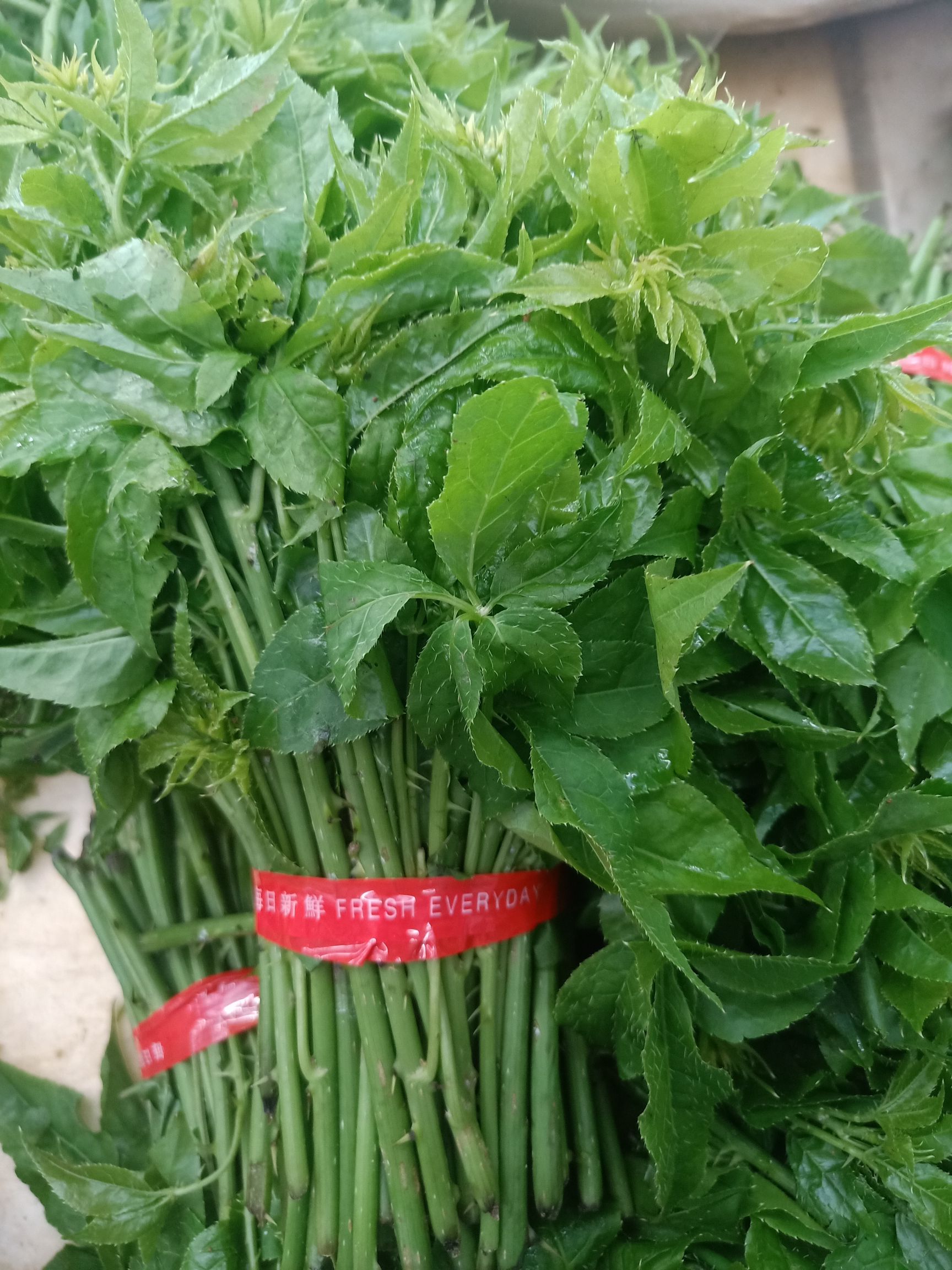 刺五加菜  云南普洱_药食同源_煮吃凉拌也可炒吃