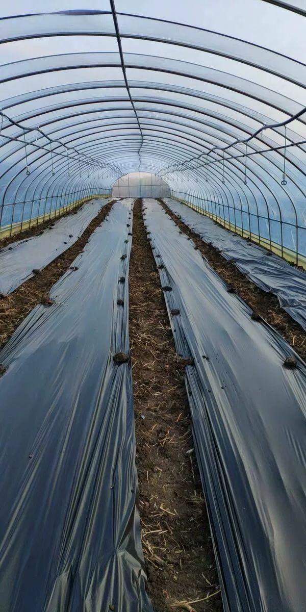 地膜  采用全新料添加剂  升温快保温好
使用寿命长！