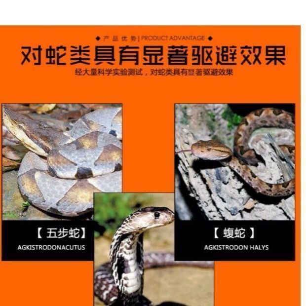 卫生杀虫剂  雄 黄硫磺驱 虫粉家用户外长效室内外驱蛇药