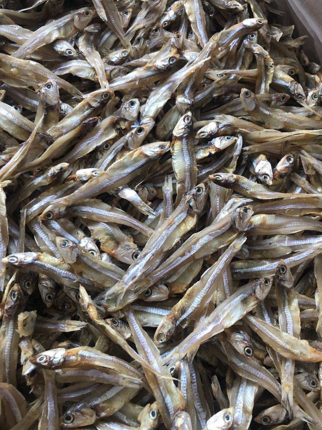 公鱼干  深海小鱼干 淡干小鱼干 纯干货 市场跑量王