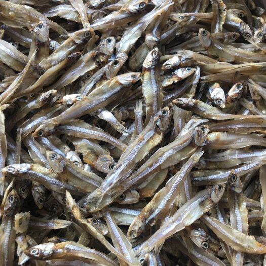 广州公鱼干  深海小鱼干 淡干小鱼干 纯干货 市场跑量王