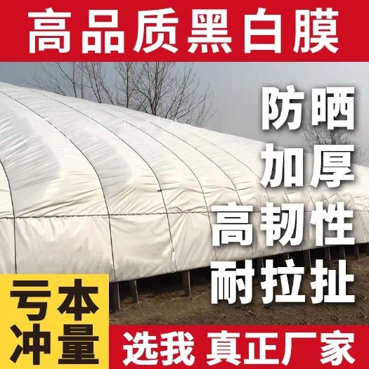 棚膜 黑白膜 优质材料  寿命超长