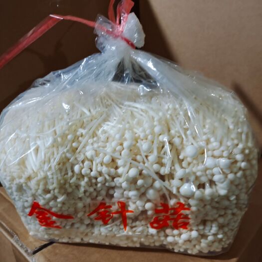 邯郸白金针菇 金针菇