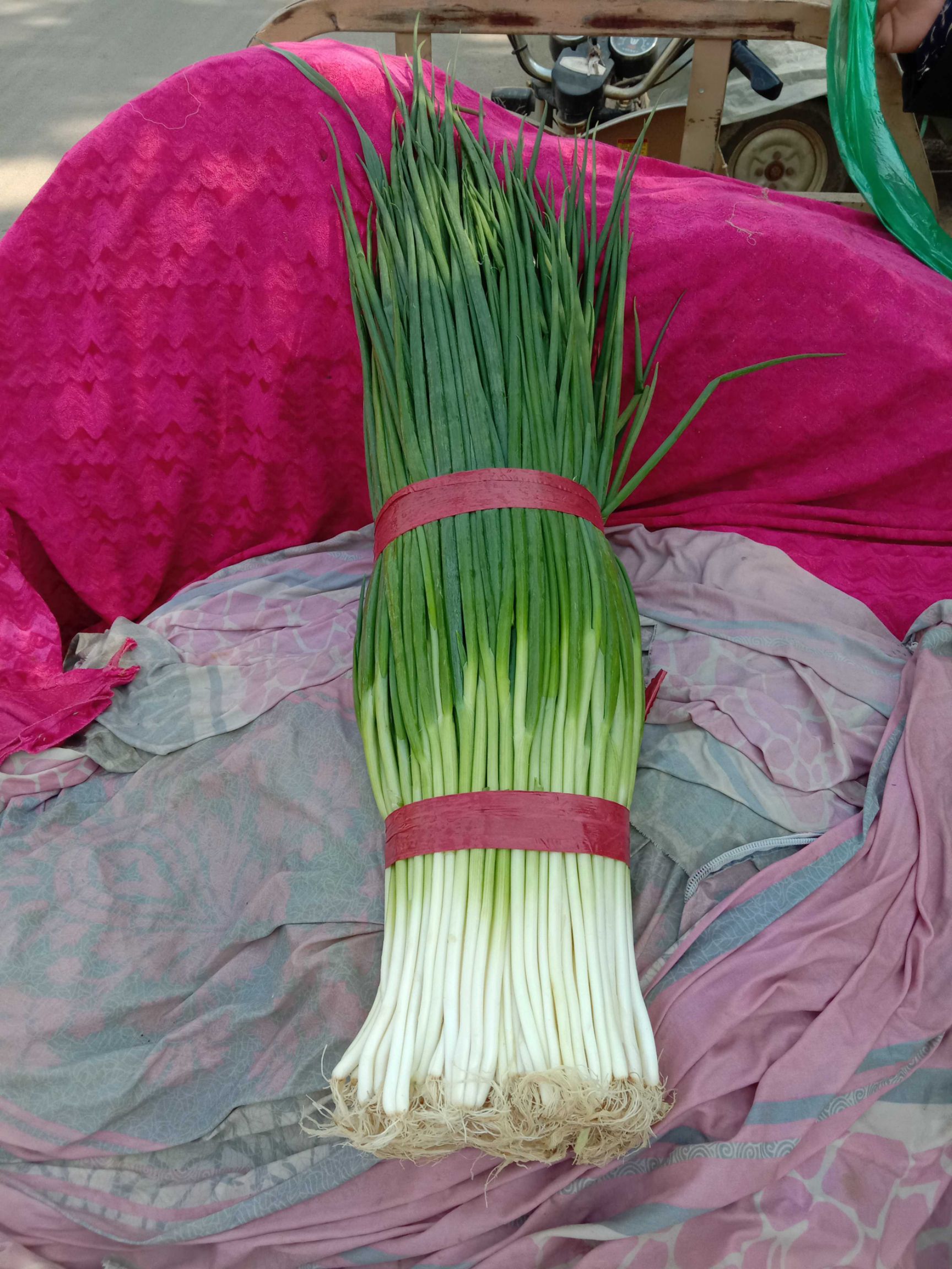  营健精品上海小香葱大量上市，质量好欢迎电商，大型超市来订单，